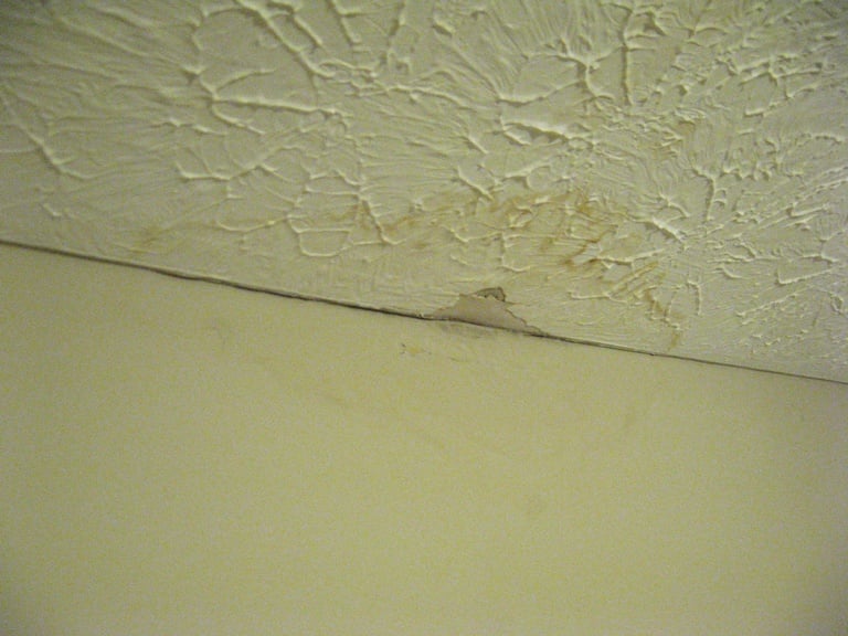 Water Stain Repair On Ceilings